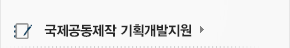 국제공동제작 기획개발지원
